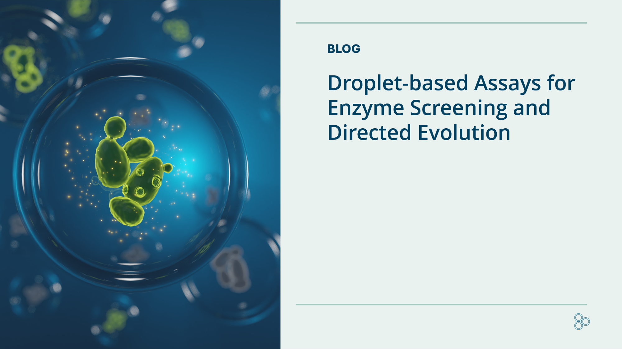 Enzyme Screening